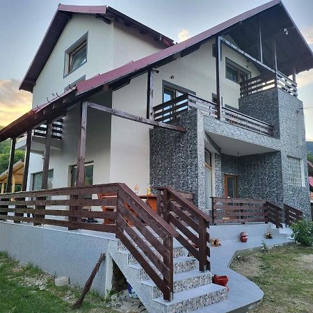 Pensiunea Ricky Căpăţîneni-Ungureni エクステリア 写真