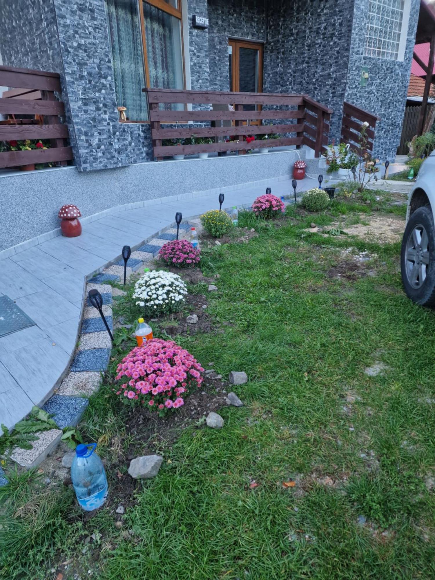 Pensiunea Ricky Căpăţîneni-Ungureni エクステリア 写真